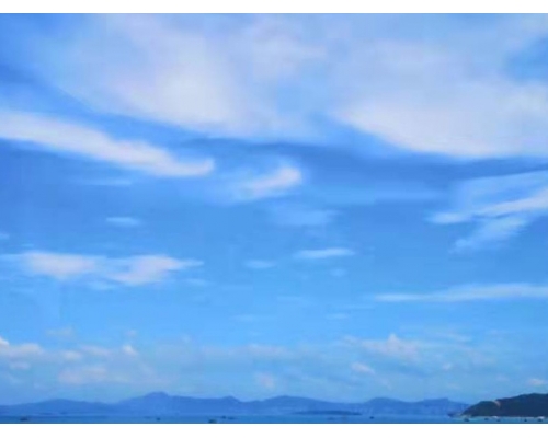 安佳威视IPC可以组建广播系统您知道吗？