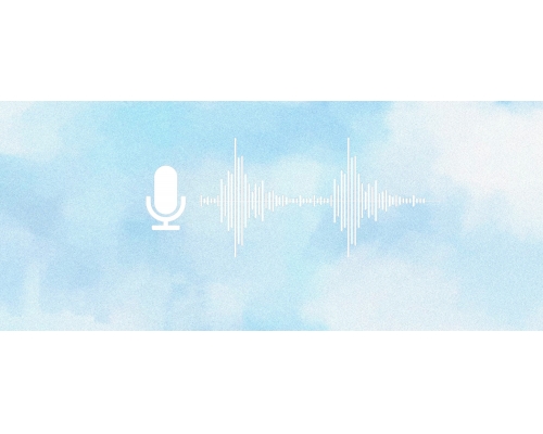 【技术篇】APP上传自定义报警语音